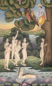 AP 31 krishna-hides-gopis-clothes