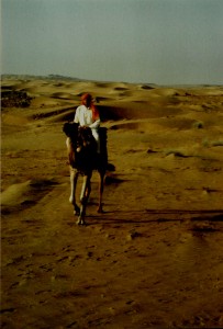 AP 49 India-Nepal 1991 17 Thar Desert, Rudi