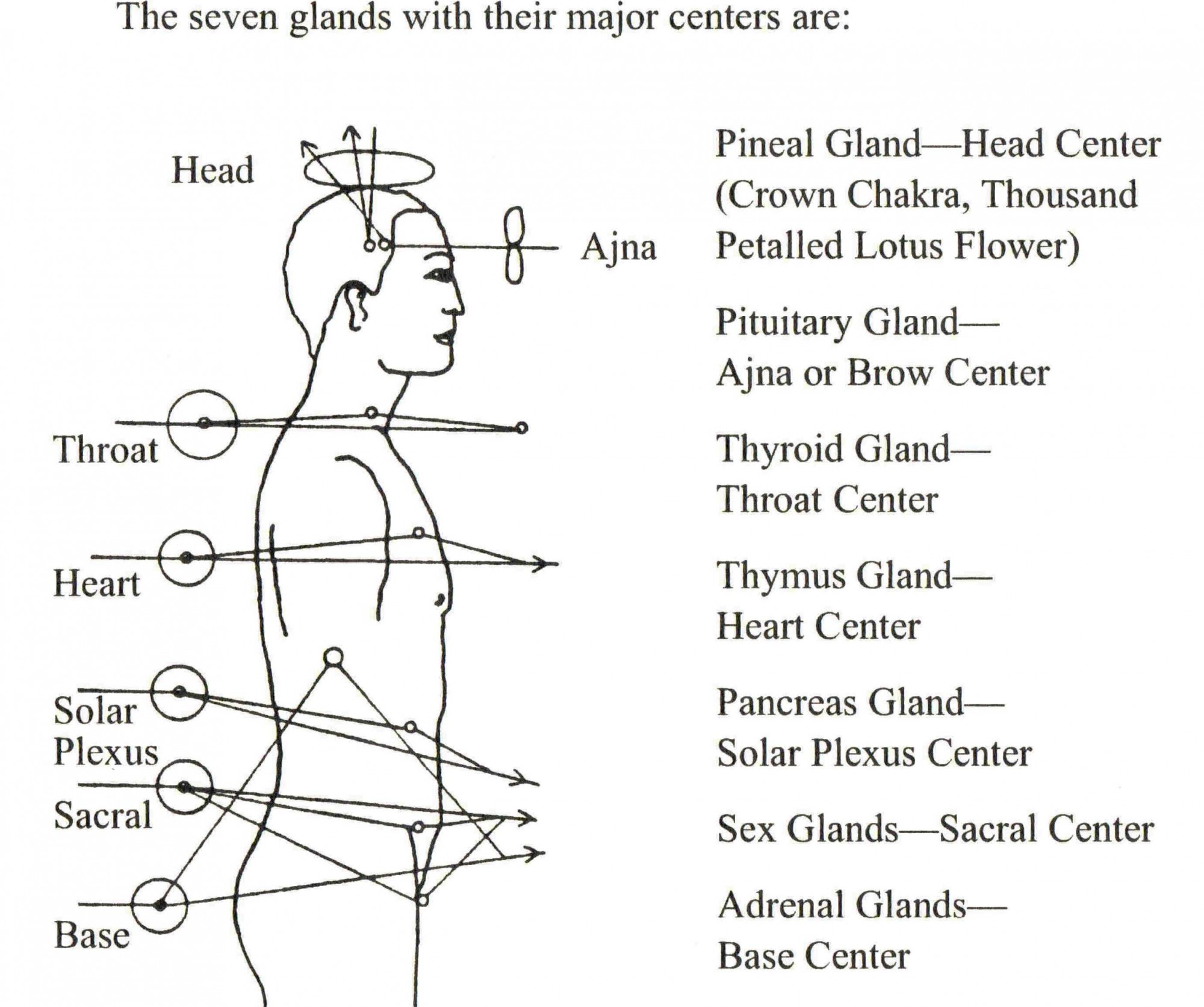 Physiology of connsciousness 2